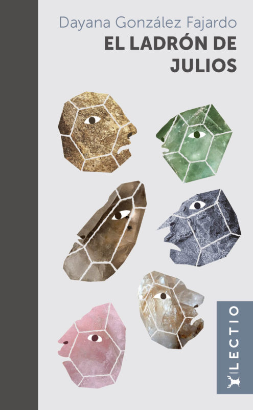 Portada de la novela juvenil "El ladrón de Julios"